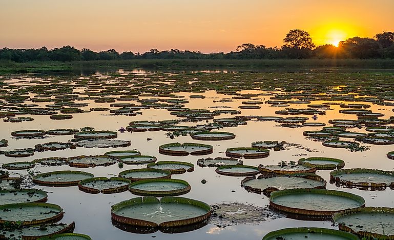 Where Is the Pantanal Natural Region Located?
