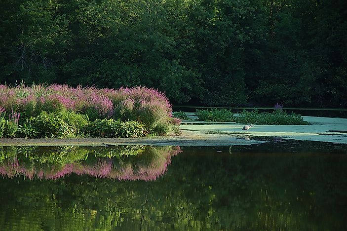 The 10 Longest Rivers in Rhode Island