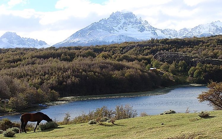 #8 Southern Chile