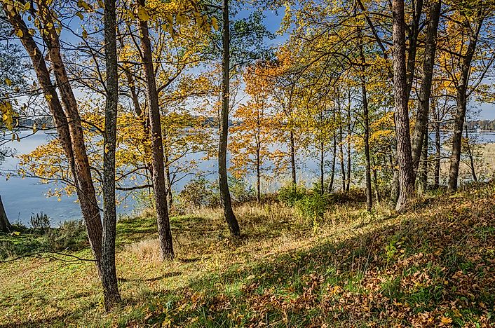 The Five National Parks Of Lithuania