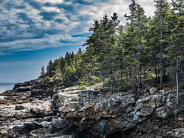 Coastal cliffs on Mount Desert Island, in Maine's Acadia National Park.