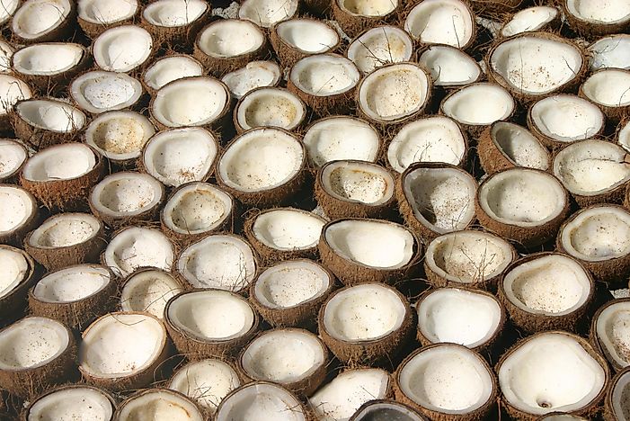 What Is Copra Used For, And How Is It Made?