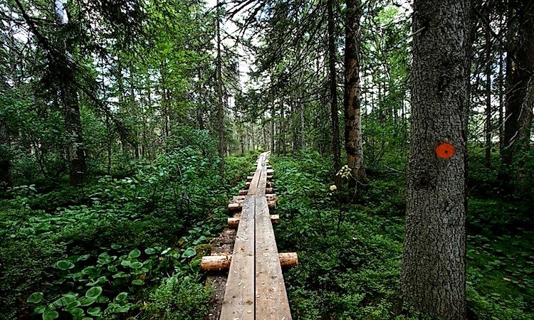European Nations With The Highest Number Of National Parks