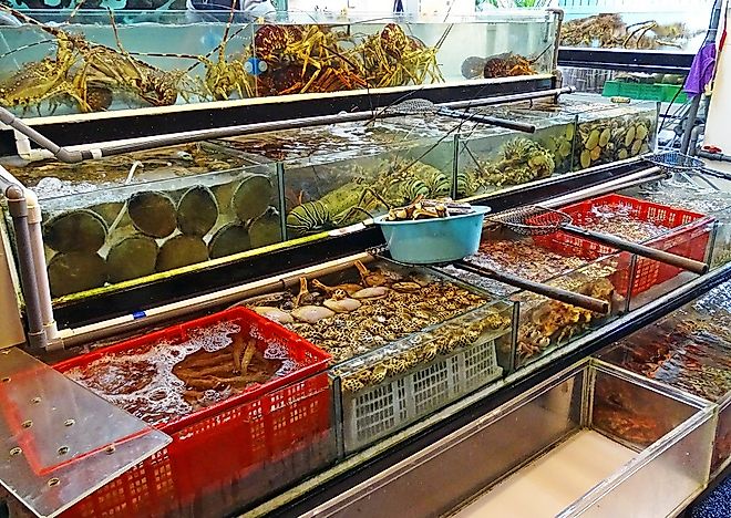 Top Fish And Seafood Exporting Countries
