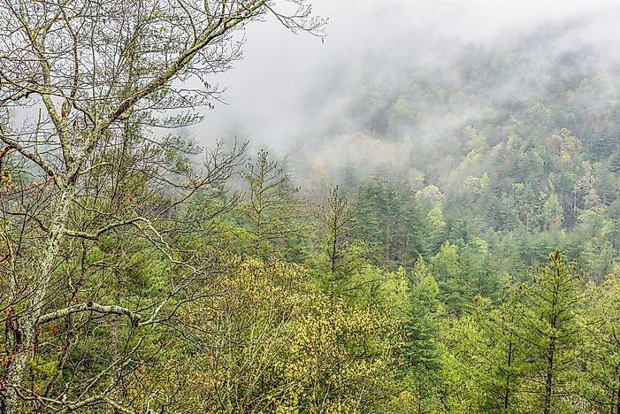 What Are The Major Natural Resources Of Georgia?