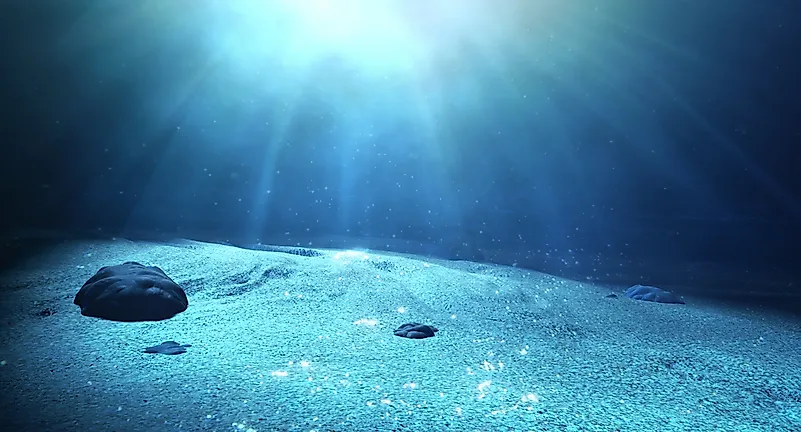 What Is The Neritic Zone Of The Ocean?
