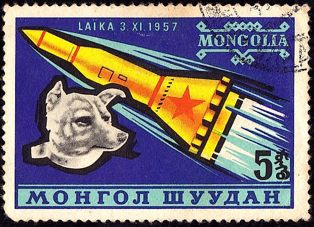 Laika: The Dog that Orbited Earth