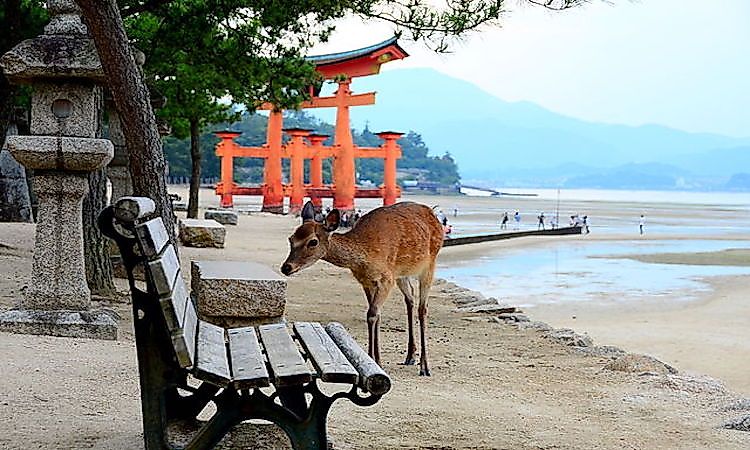 The Three Views Of Japan: Old And New