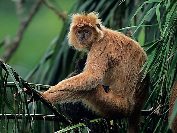 #2 Habitat and Biodiversity