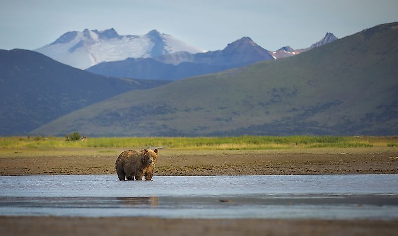 #7 Katmai National Park and Preserve