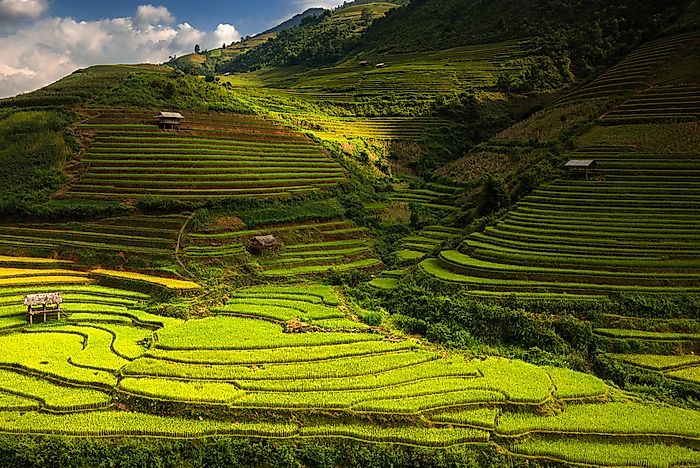 The Biggest Industries In The Philippines