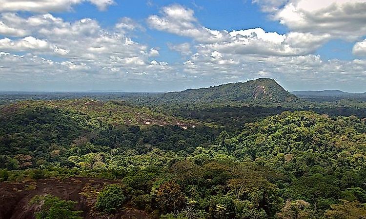 Central Suriname Nature Reserve