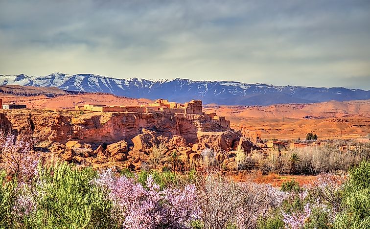 #5 Morocco Has A Valley Dedicated To Roses