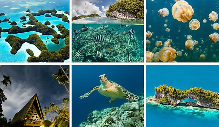 10 Interesting Facts About Palau