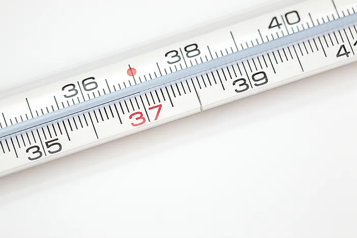 What is Normal Body Temperature For Humans?
