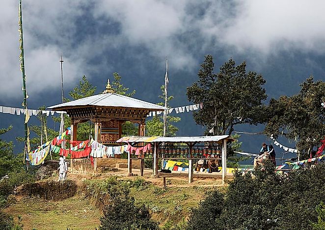 #4 Paro