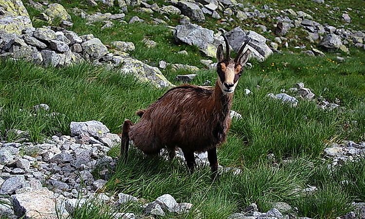 An Encounter With Wild Slovakia: The Nine National Parks Of Slovakia