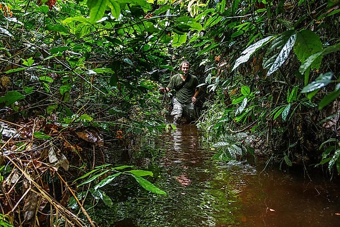 Ecological Regions Of The Republic Of The Congo (Congo-Brazzaville)
