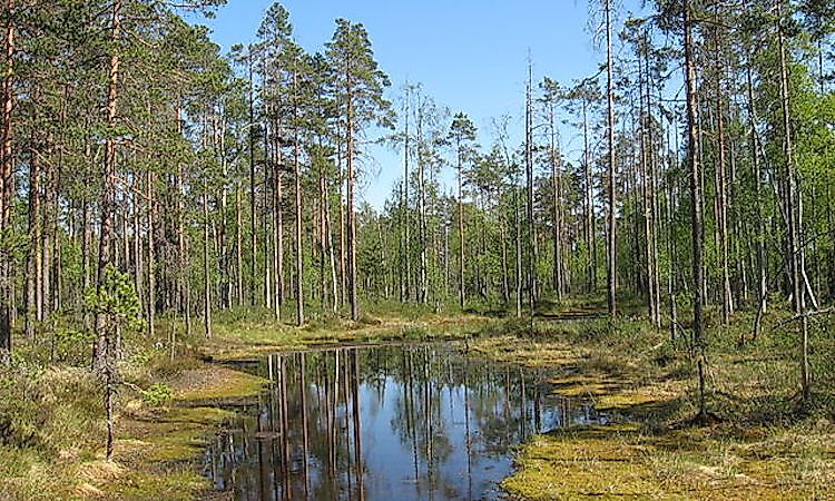 How Many National Parks Are There In Finland?