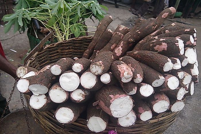 Top Cassava Producing Countries In The World