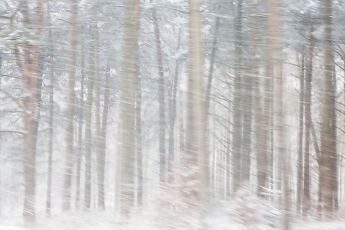 What Is a Snow Squall?