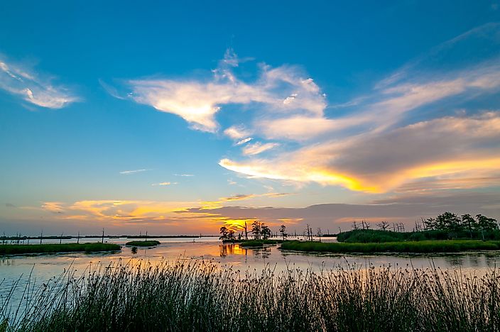 Where is the Mississippi River Delta?