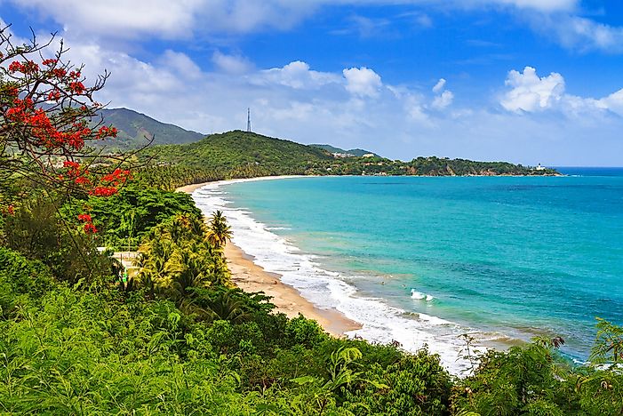 Puerto Rico is a great option for those from the US mainland in particular. Puerto Rico is a great option for those from the US mainland in particular.