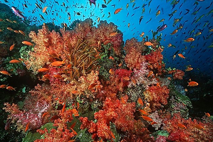 #2 Habitat and Biodiversity