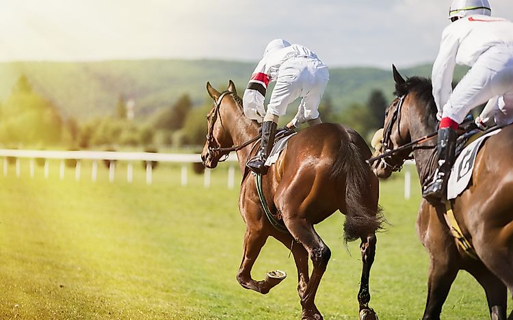 Horse jockeys racing horses. Horse jockeys racing horses.