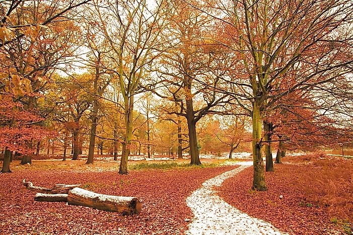 #1 Richmond Park