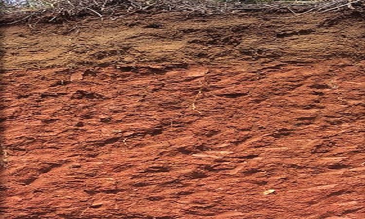 USDA Soil Taxonomy Soil Orders And Their Major Characteristics 