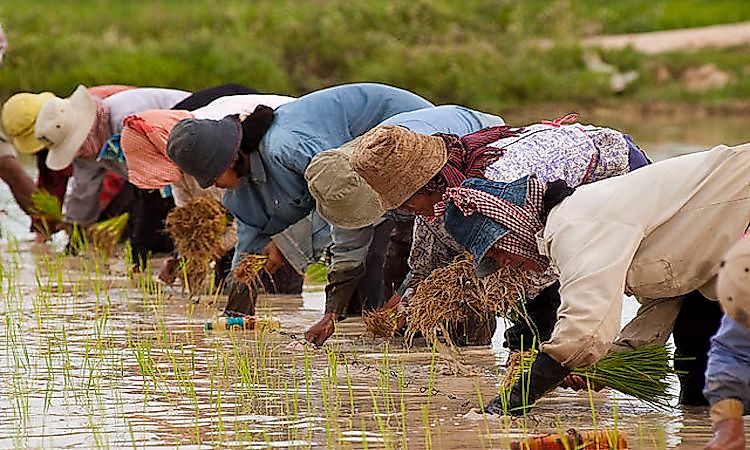 The Economy Of Cambodia