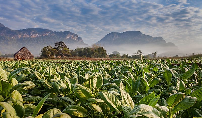 What Are The Major Natural Resources Of Cuba?