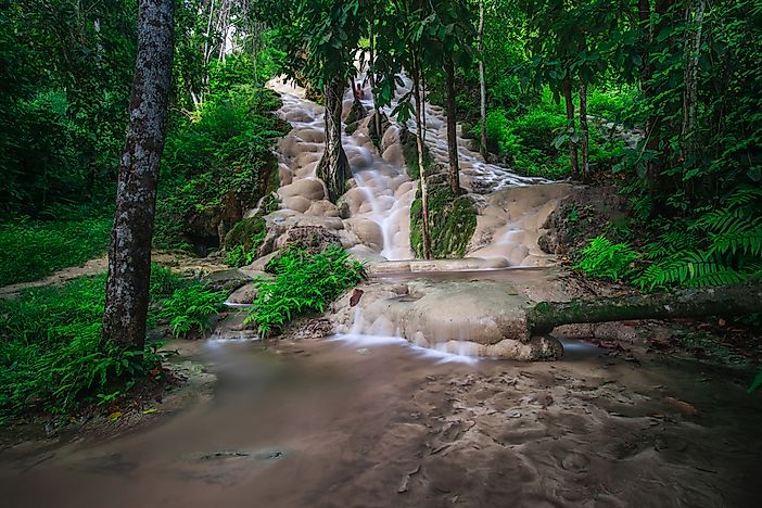 What Is So Unique About The Bua Tong Sticky Waterfalls Of Thailand?