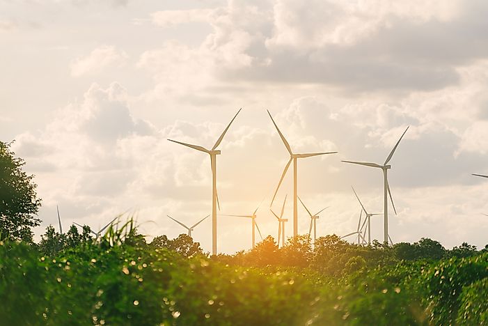What Is the Difference Between Green and Sustainable?