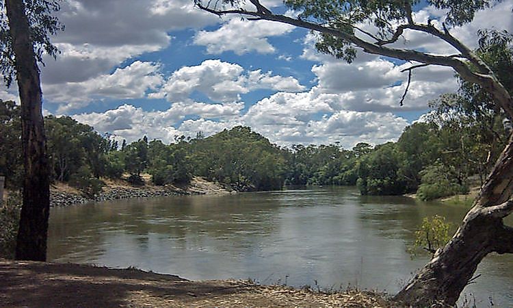 #1 Murrumbidgee River (Australian Capital Territory)