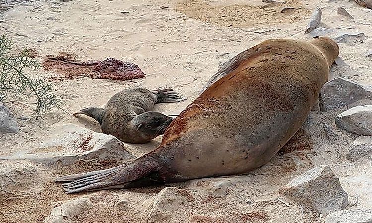 #6 Galapagos National Park -