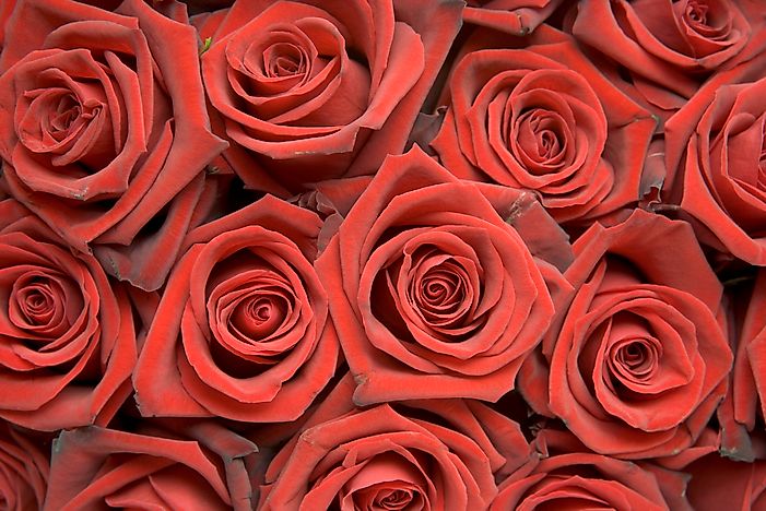Cities Who Spend the Most on Valentine's Day