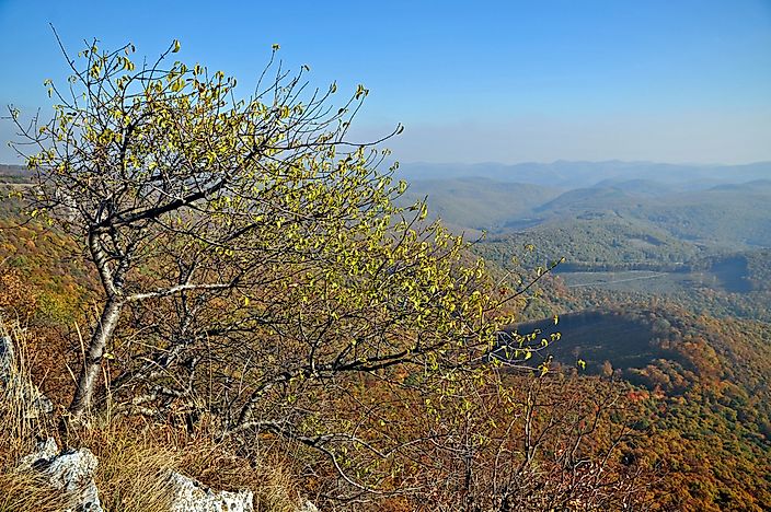 #8 Bükk National Park