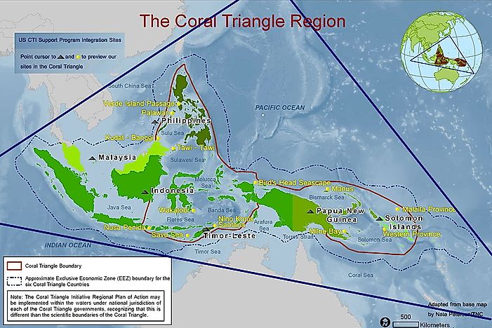 The Importance of Conserving The Coral Triangle
