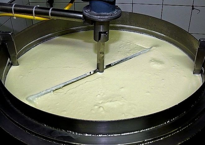 Top 12 Exporters Of Yogurt And Cultured Milk