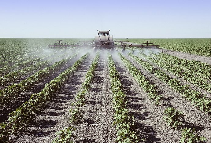 Crops in the San Joaquin Valley. Crops in the San Joaquin Valley.