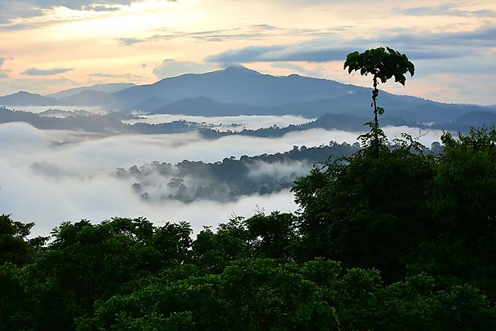 Borneo, Malaysia. Borneo, Malaysia.