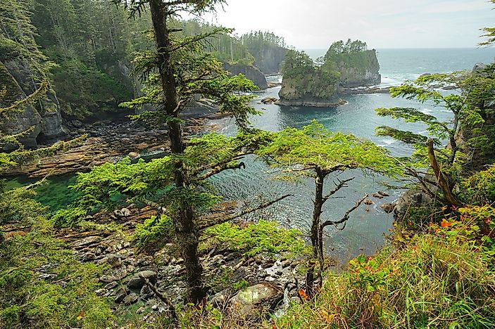 #4 Olympic National Park