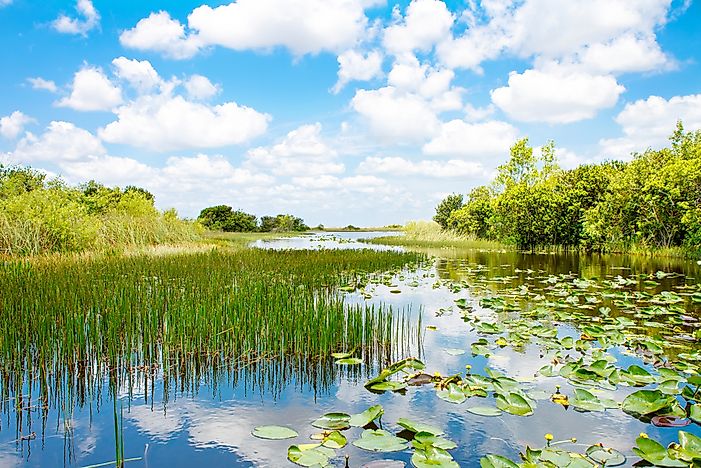 What Are The Major Threats To Wetland Ecosystems Around The World?