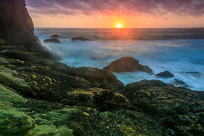#1 Gray Whale Cove State Beach