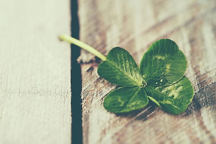 #5 Four Leaf Clover, Ireland