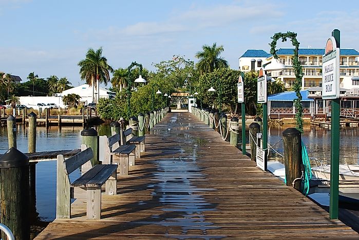 Tourists Flock to Florida Despite Tropical Storm
