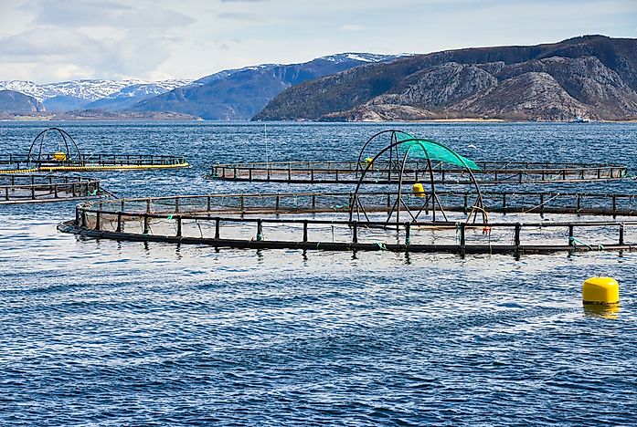 What Are The Biggest Industries In Norway?