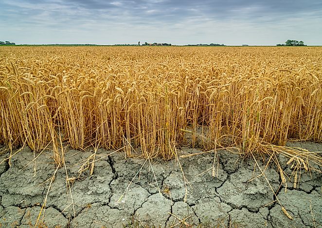 What Are The Different Types Of Drought?